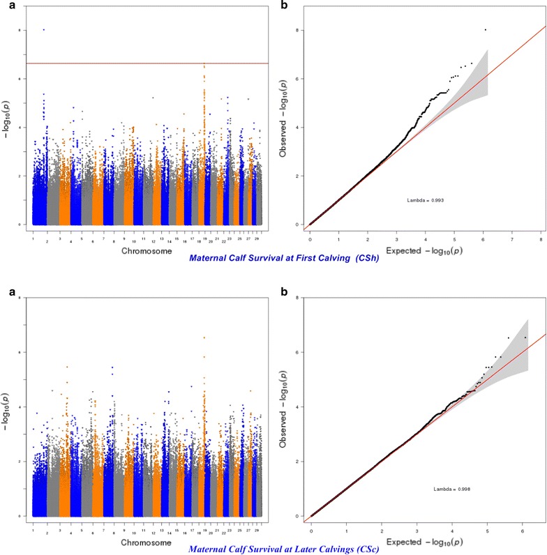 Fig. 3