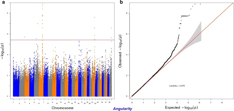 Fig. 13