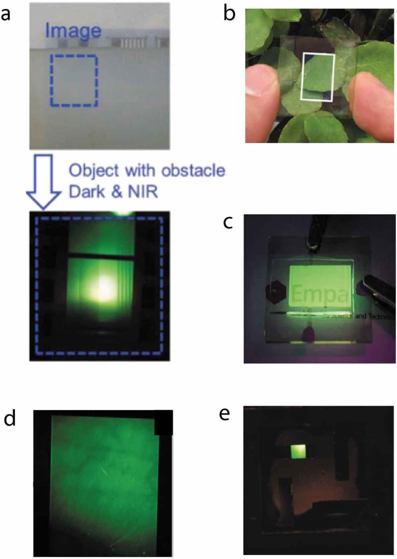 Figure 7.