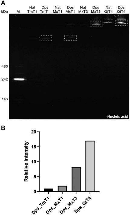 Figure 4.