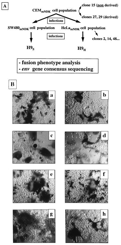 FIG. 3