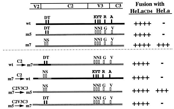 FIG. 7