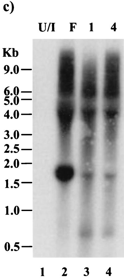 FIG. 7