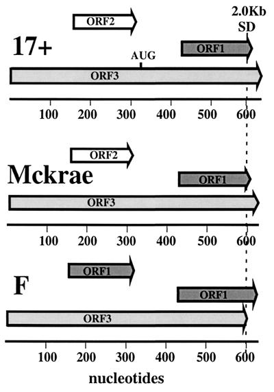 FIG. 6