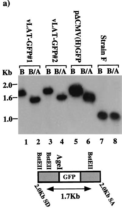 FIG. 7