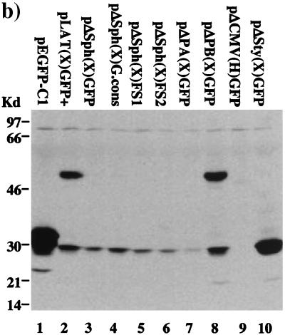 FIG. 5