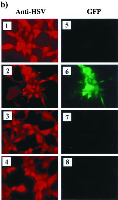 FIG. 7