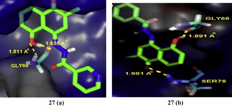 Fig. 22