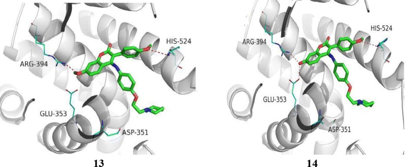 Fig. 12