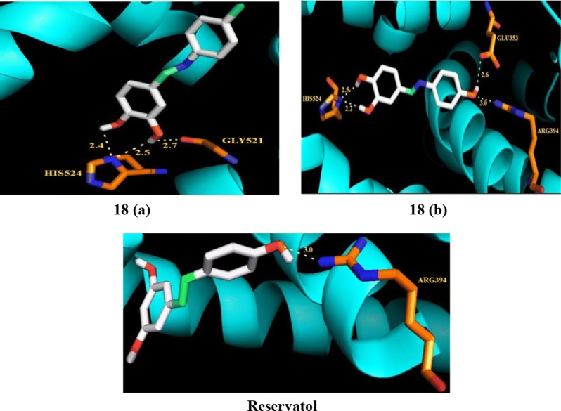 Fig. 16