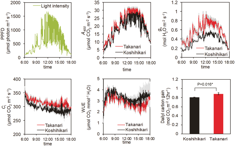 Fig. 3.