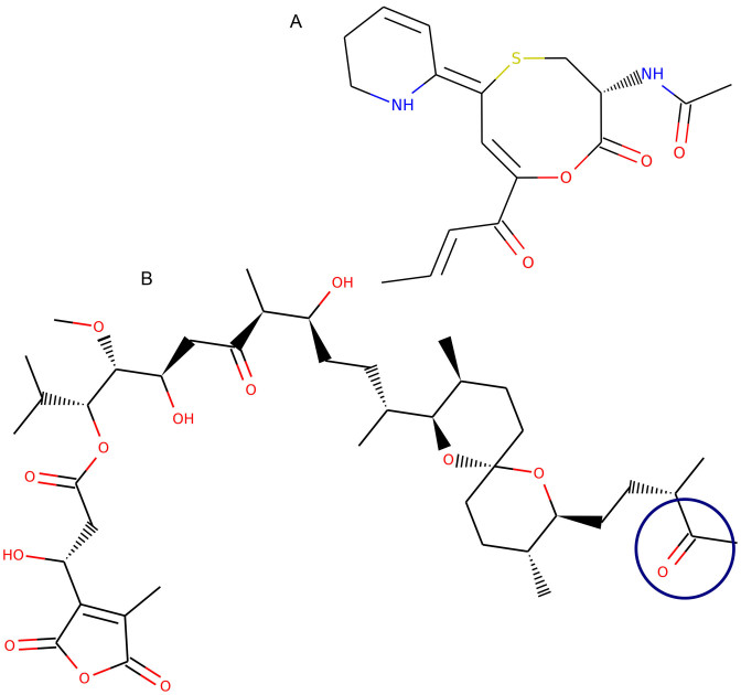 Figure 6.