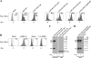 FIG. 5.