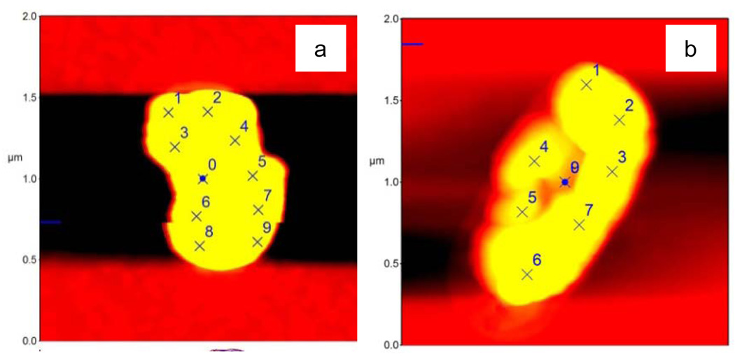 Figure 6