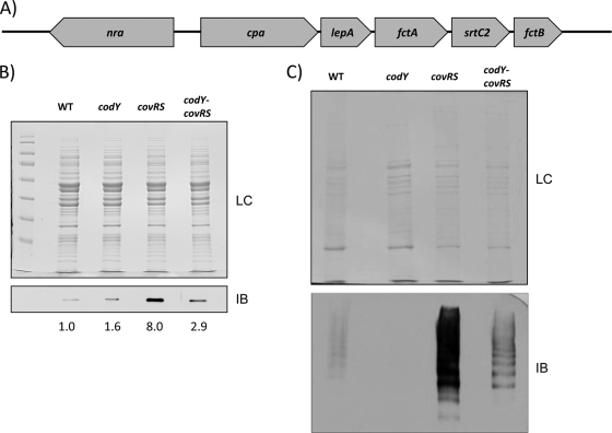 Fig. 5.