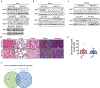 Extended data Fig. 5: