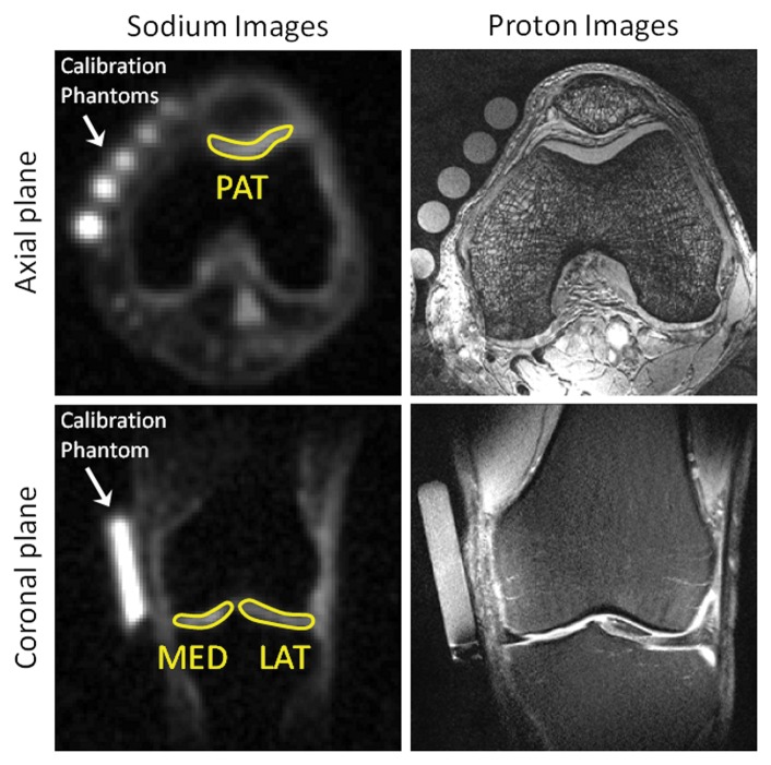 Figure 2: