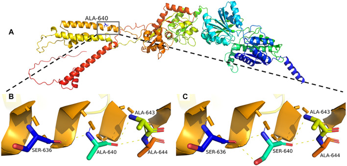 FIGURE 3