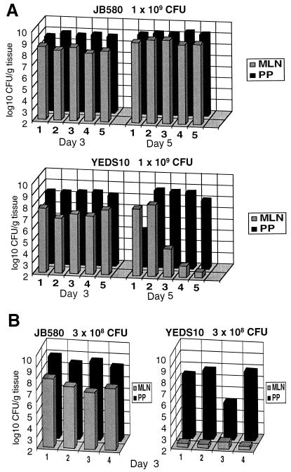 FIG. 4