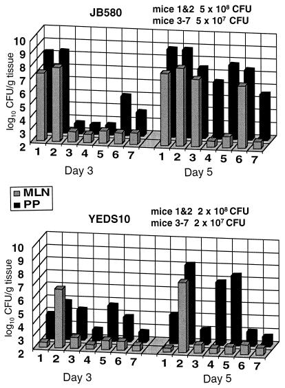 FIG. 3