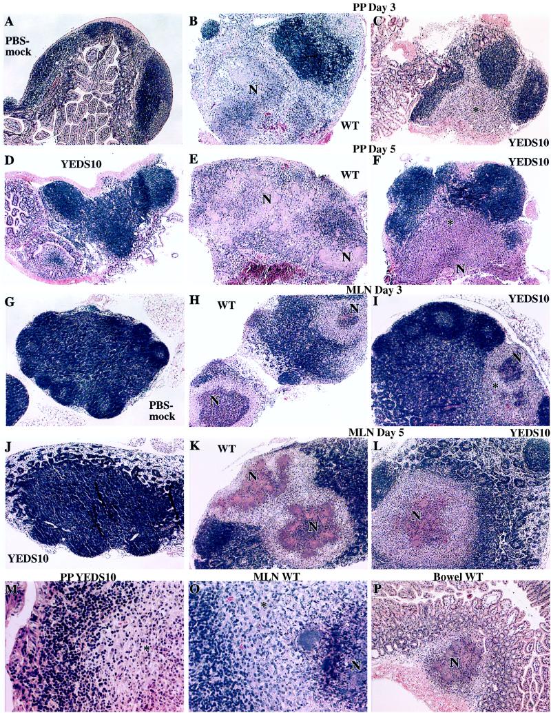 FIG. 6