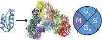 Unlabelled Image