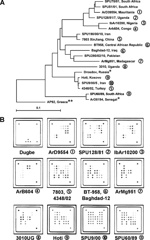 FIG. 3.