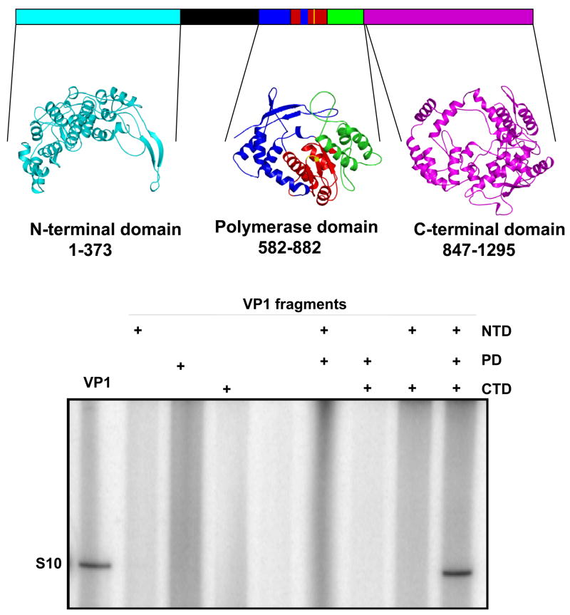 Figure 5