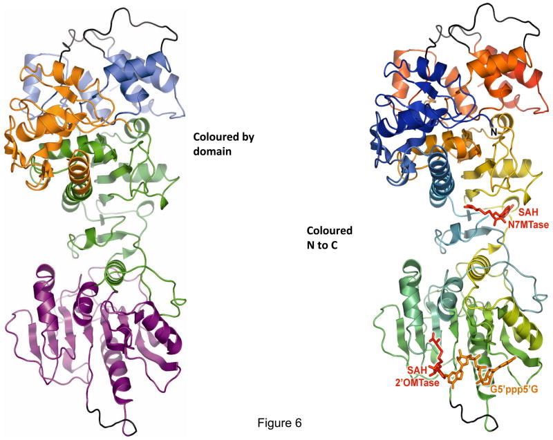 Figure 6