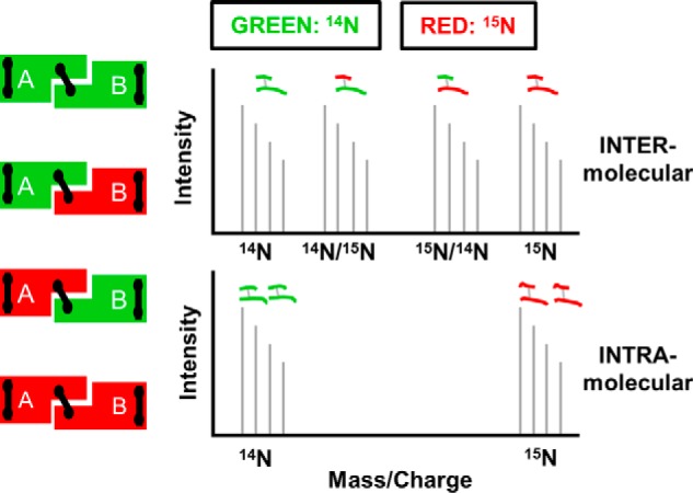 FIGURE 1.