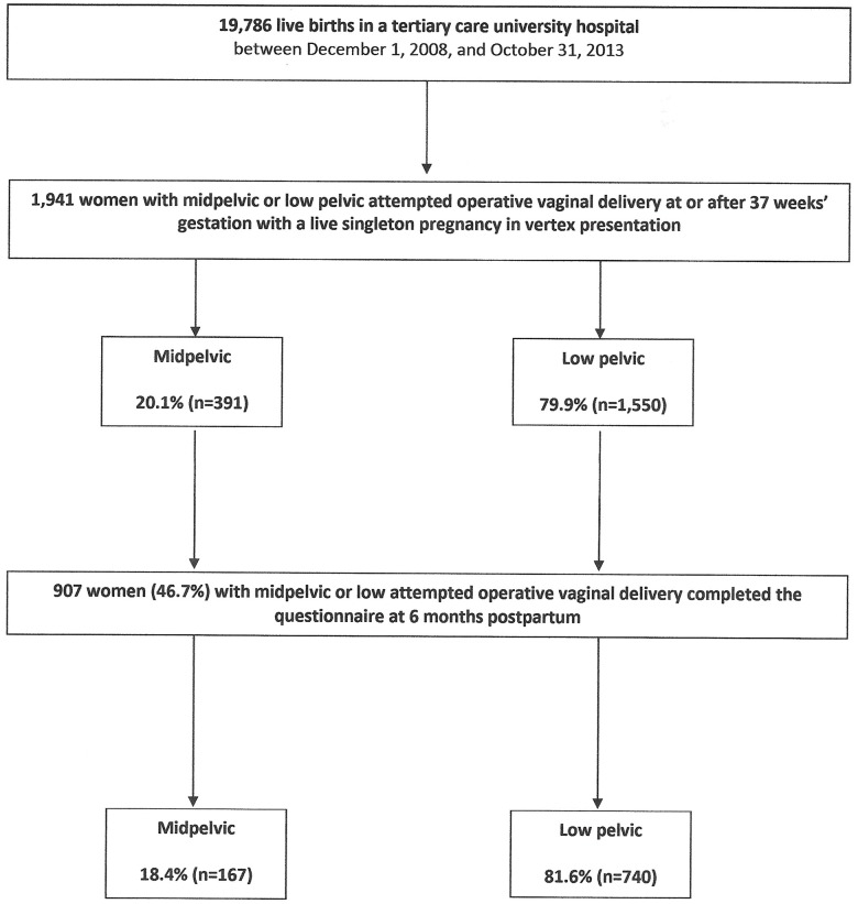 Fig 1