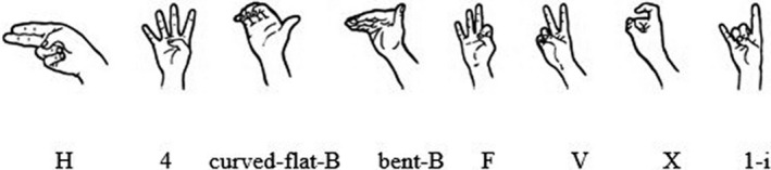 Fig. 10