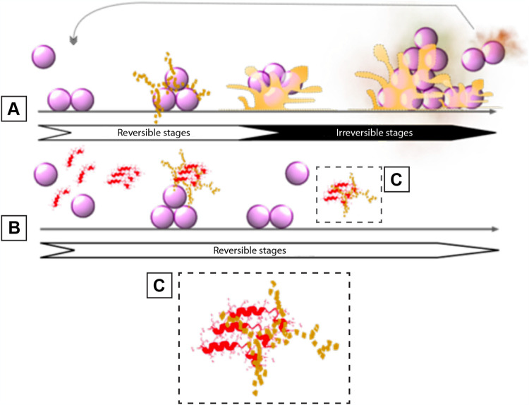 FIG 6