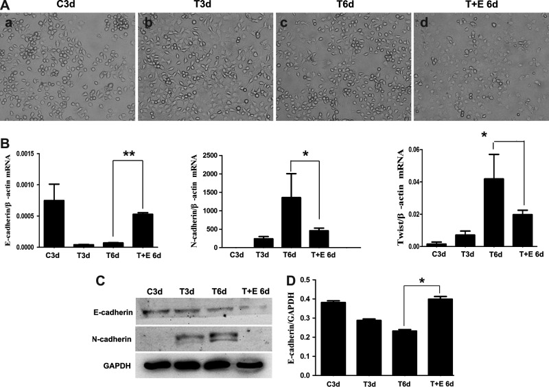 FIG. 6.