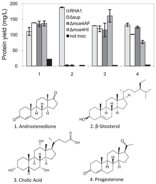 FIGURE 4