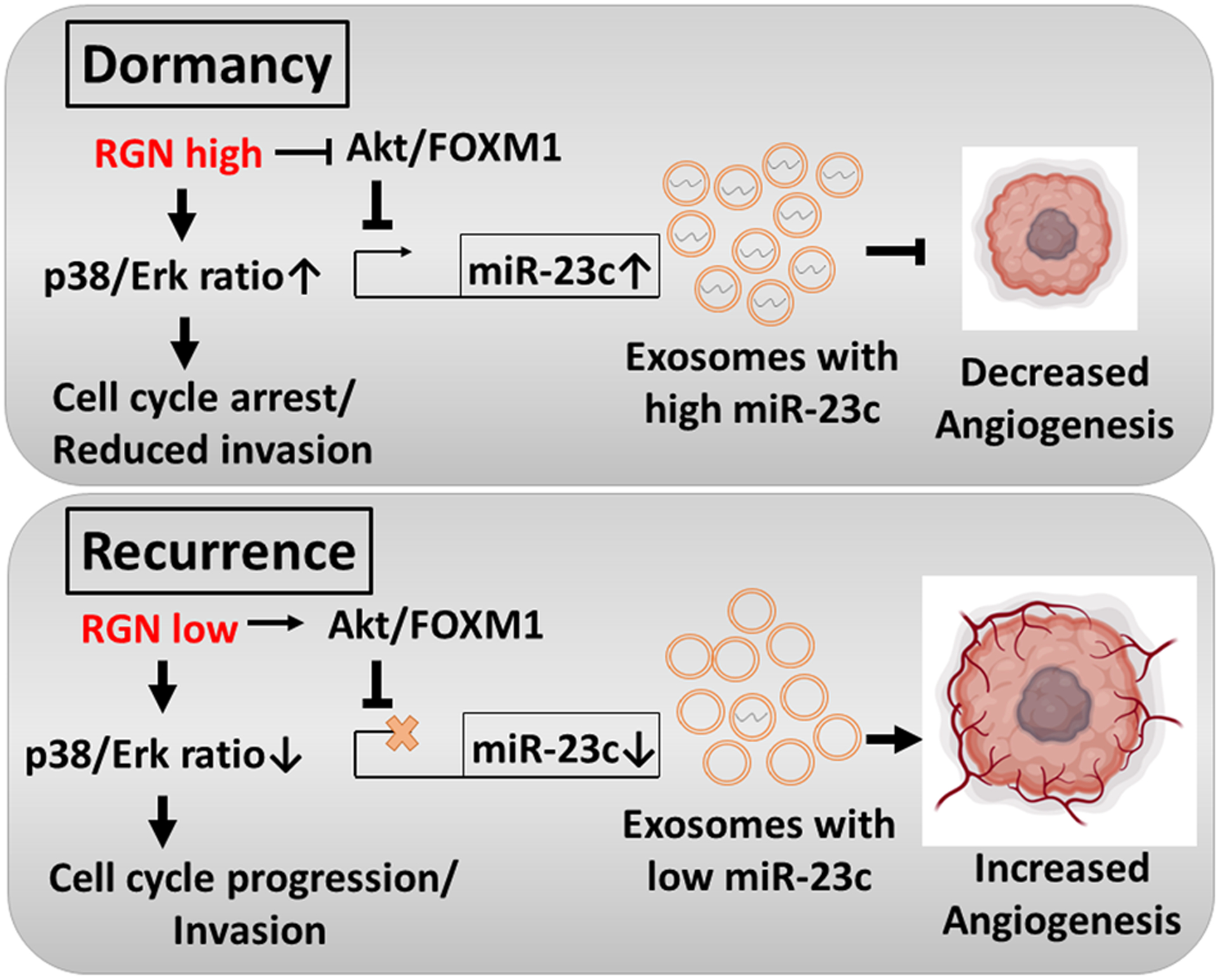 Figure 7: