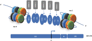 FIG. 1.