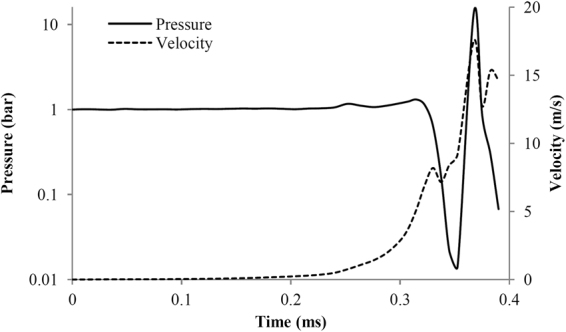 Figure 9