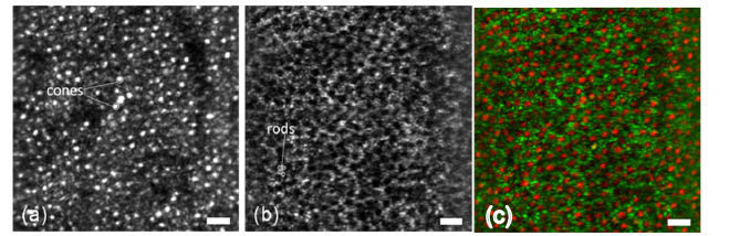 Fig. 9