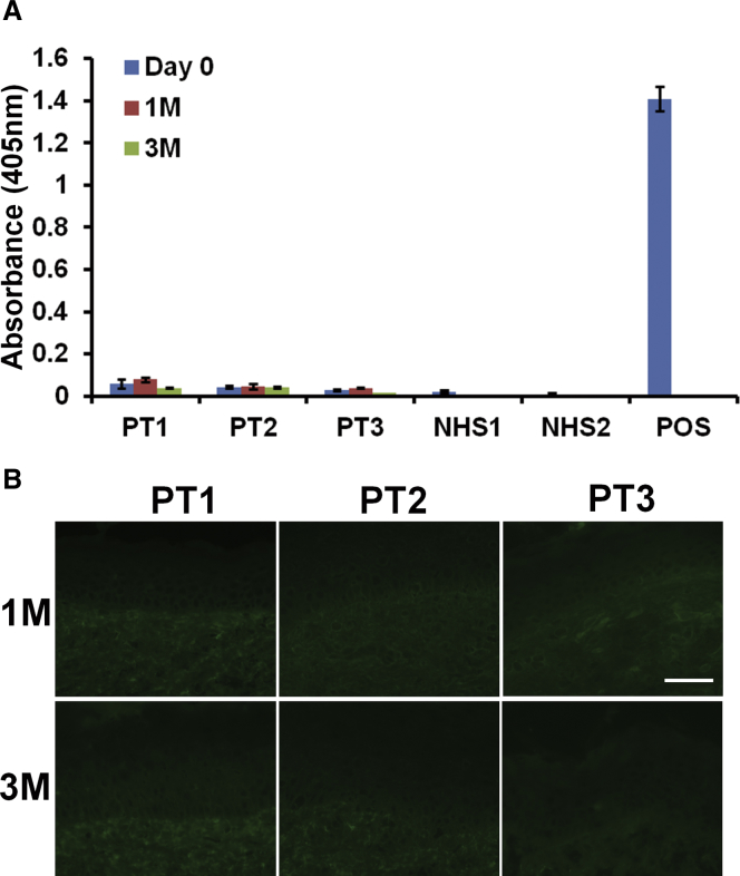 Figure 6