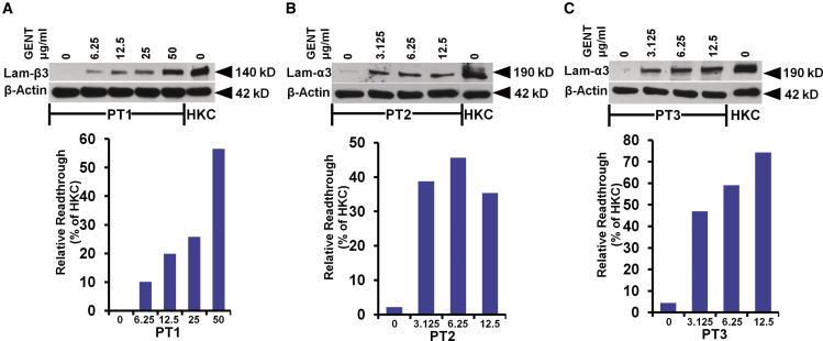 Figure 2