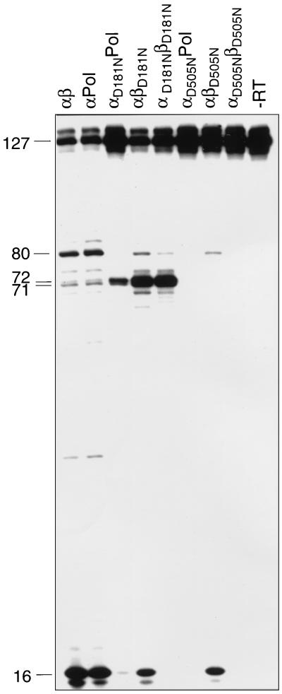 FIG. 6