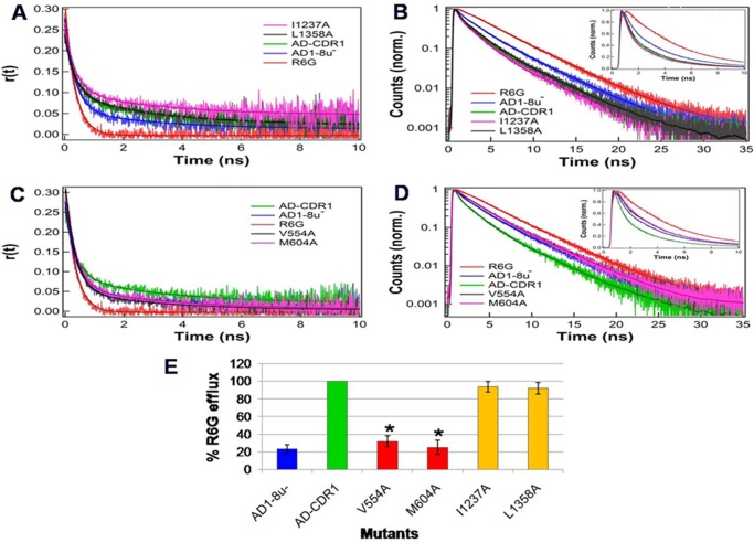 FIGURE 4.