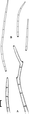 Fig. 76.