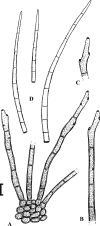 Fig. 93.