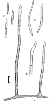 Fig. 91.