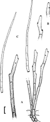 Fig. 88.