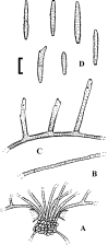Fig. 37.