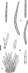 Fig. 94.