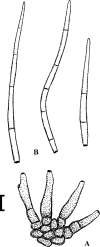 Fig. 92.